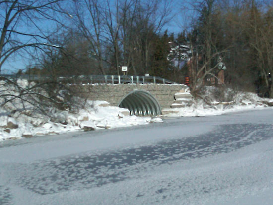 img00318-20091218-1220